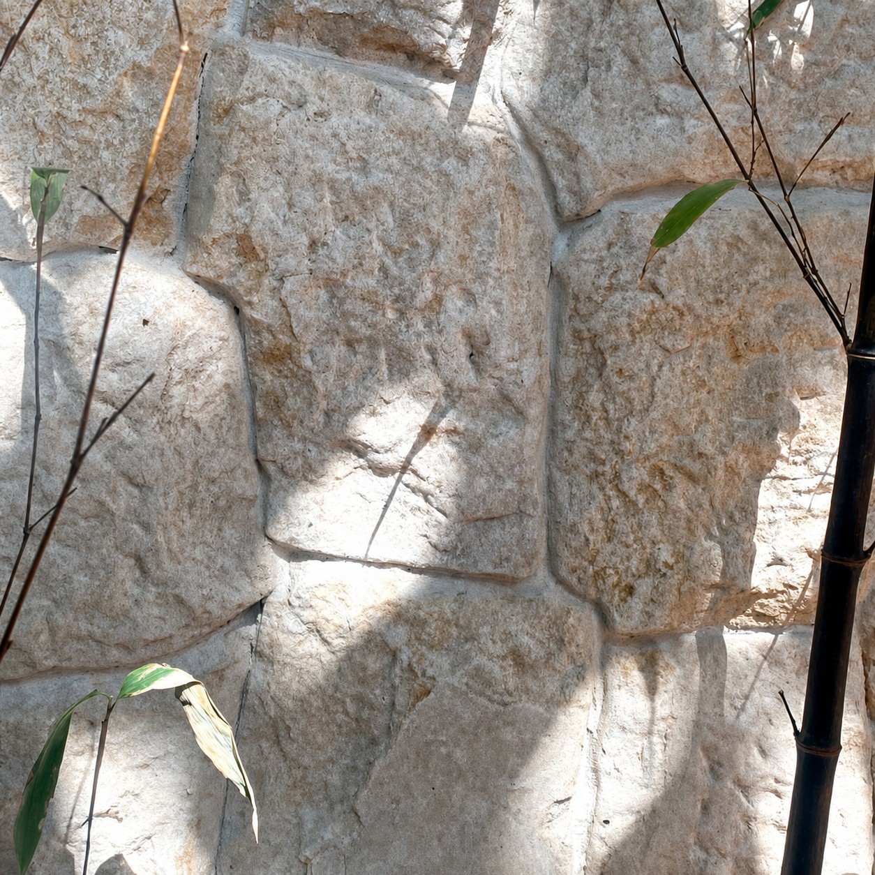 Suez Orgânico aplicado — Jardins, bordas de piscina e áreas gourmet
